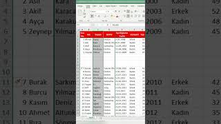 Excel Yeni Satır ve Sütun Ekleme Kısayolu shorts [upl. by Wiersma]