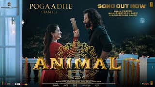 ANIMAL Tamil Pogaadhe Song  Ranbir KapoorRashmika M  KarthikShreyas PMohan R Sandeep Reddy V [upl. by Ivor]