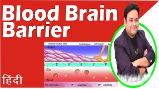 blood brain barrier and blood csf barrier [upl. by Mckay]