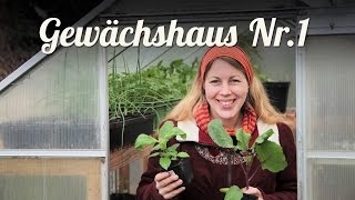 Gewächshaus vorbereiten amp bepflanzen 🌹 Erfahrungen und Tipps 🌹 Selbstversorger Garten [upl. by Aicenav813]