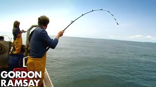 Gordon Ramsay Fishes amp Cooks Conger Eel  Gordon Ramsay [upl. by Crowns814]