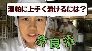 うまもん漬物 奈良漬 塩漬け後、 酒粕に漬けます！ 【山口県岩国市】 [upl. by Jovia]