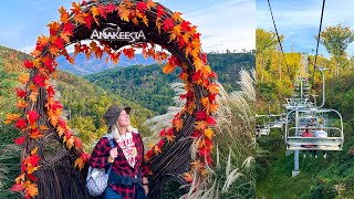 Gatlinburgs Anakeesta Vlog 2022 Bears Chondola Ride Treetop Skywalk at Night BBQ amp More [upl. by Liana]