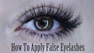 How To Apply of False Eyelashes Strip Lash Individuals amp Bottom Set  Shonagh Scott [upl. by Norb]