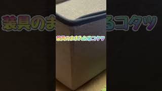 20241113 めっちゃ楽‼️装具のままコタツ気分ショート 片麻痺youtuber 便利アイテム ショート 片麻痺 [upl. by Roath547]