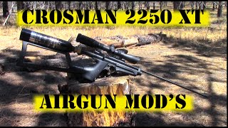 Crosman 2250XT Airgun Mods For Better Hunting [upl. by Dibbrun]