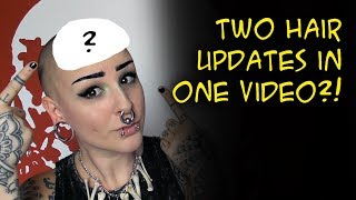 Two hair updates in one video [upl. by Elliven139]