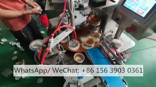 Fully automatic egg tart shell making machine Portuguese egg tart crust tartlet pressing maker [upl. by Eloci593]