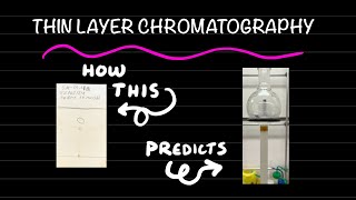 How to perform thin layer chromatography tutorial [upl. by Jacy]