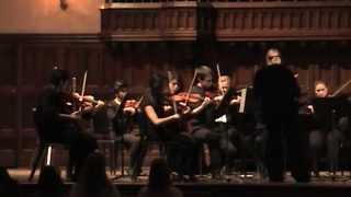 Case Camerata Chamber Orchestra 022412avi [upl. by Eruza]