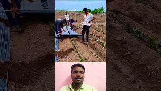 🤔மல்சிங் சீட் இப்படி போடலாமா⁉️  Mulching Sheet 💯 trending mulching sheet statisfying shorts [upl. by Iahc424]