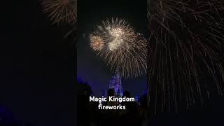 Magic Kingdom fireworks [upl. by Einhapets]