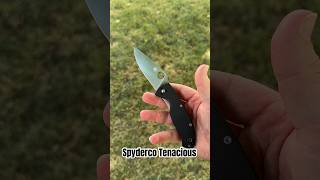 Spyderco Tenacious spyderco knifecommunity knifecollector [upl. by Gnus]