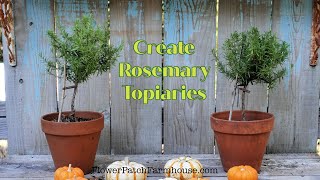 How To Make Easy Rosemary Topiaries super fun [upl. by Eilrahc]