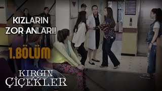 Kırgın Çiçekler 1Bölüm  Kızların Zor Anları [upl. by Akeret881]