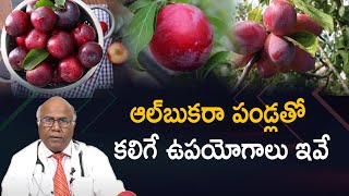 Health Benefits of Albakara Fruit  Dr CL Venkat Rao  Abhi Tv Digital [upl. by Attenrad146]