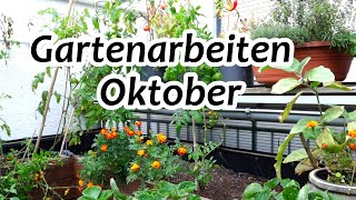 Gartenarbeiten Oktober  säen pflanzen  Garten im Herbst [upl. by Ignatia862]