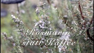 Rosmarin statt Kaffee  Viriditas HeilpflanzenVideo [upl. by Averil915]