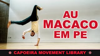 Au Macaco em Pé  CAPOEIRA MOVEMENT LIBRARY [upl. by Anier]