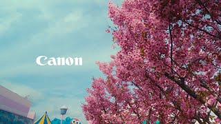 Canon R8 Osaka 4k  Cinematic Video in 2024 [upl. by Rici]