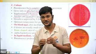 Pneumococci in Hindi II By Sanjay Sir [upl. by Ylime]