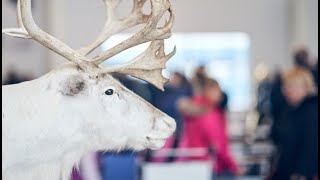 Winter wonderland Landing to Finnish Lapland  Finavia [upl. by Sig]