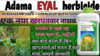 Adama Eyal herbicide  Eyal kharpatwar nasak  penoxsulam  Cyhalofopbutyl  नया खरपतवार नाशक [upl. by Anitroc231]