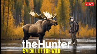 Hunteria hunteria hunt Call of The Wild LIVE [upl. by Masuh]