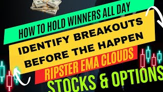 Ripsters Strategies for Consistent Wins Market Breakout and Nvidia Mega Winner [upl. by Amin]