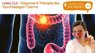 Leaky Gut – Diagnose amp Therapie des „durchlässigen“ Darms  42 [upl. by Gnah]