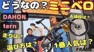 【実際どうなの？】ミニベロの気になる疑問、プロに聞いてわかった真実【選び方は？カスタムできる？ロードバイクとどう違う？】【DAHON（ダホン）】【Tern（ターン）】 [upl. by Naelcm883]