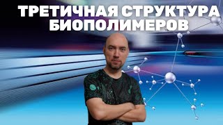 Что такое третичная структура биополимеров Душкин объяснит [upl. by Seditsira125]