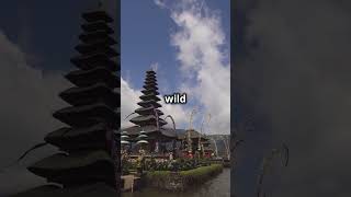 Ultimate Bali Travel Guide Top 10 Things to Do in Bali [upl. by Brower640]