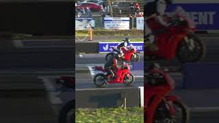 Ducati Panigale v4 vs Honda CBR [upl. by Cilegna151]