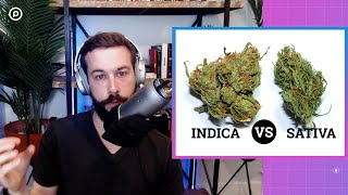 Indica vs Sativa The Scientific Truth About Cannabis [upl. by Kristian184]