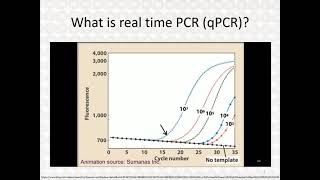 Real Time PCR  Part 3 [upl. by Eckart654]