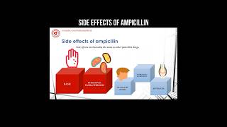 Side effects of ampicillin pharmacology ampicillin sideeffects antibiotics [upl. by Dorena]