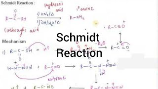 Schmidt Reaction I Amines I Particles Academy [upl. by Aselehc]