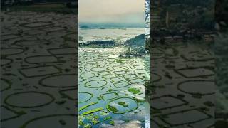 Places in India Which does not seem Real 🤔 viralvideo travel ytshorts traveling [upl. by Glarum]