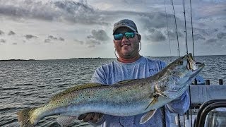 Trophy Trout Fishing Live Croaker Tips and Tricks Birds and Wind [upl. by Geraud216]