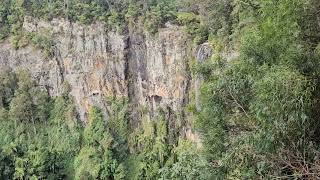 Purling Brook Falls Springbrook National Park 2024 [upl. by Kerwin]