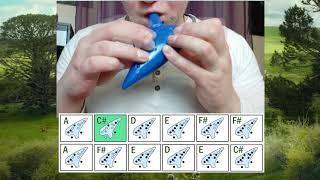 How To Play CONCERNING HOBBITS On Ocarina Beginner TUTORIAL with TAB [upl. by Nnaeoj]