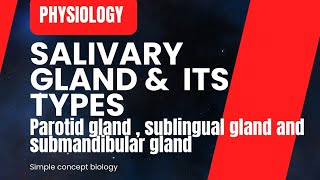 salivary glands  Anatomy and Physiology [upl. by Rettuc]