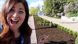 Sprinter Boxwood Hedge Part 3 Trimming amp Mulching 🙌😍 Garden Answer [upl. by Iy262]