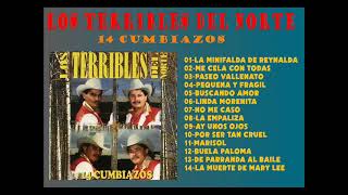 LOS TERRIBLES DEL NORTE 14 CUMBIAZOS [upl. by Bloomer300]