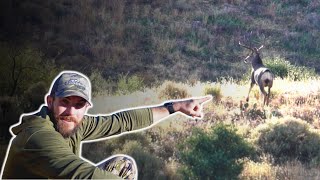 Chasing Arizona’s GIANT Muleys [upl. by Cody]