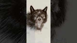 art youngartist drawing wolf blackwolf wolfart moon [upl. by Wrightson]