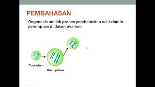 OOGENESIS DAN PEMBAHASAN SOAL [upl. by Cadmarr163]