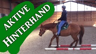 LetsRide Hinterhand aktivieren  ganz einfach Westernreiten  Serenity Horses [upl. by Pippy602]