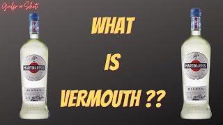 Martini Cocktail  Vermouth Cocktail  How to drink Vermouth  GulpaShot [upl. by Saravat]